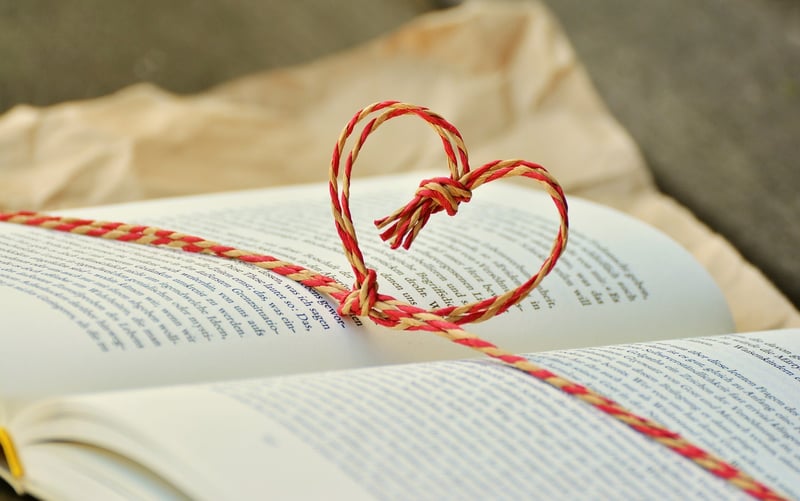 Mystery Book